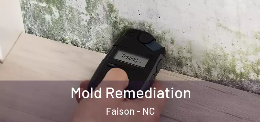  Mold Remediation Faison - NC