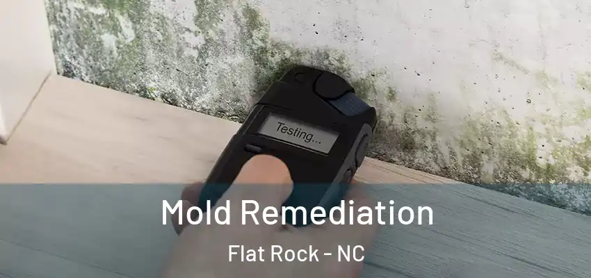 Mold Remediation Flat Rock - NC