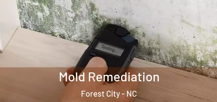  Mold Remediation Forest City - NC
