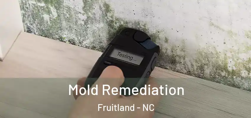  Mold Remediation Fruitland - NC