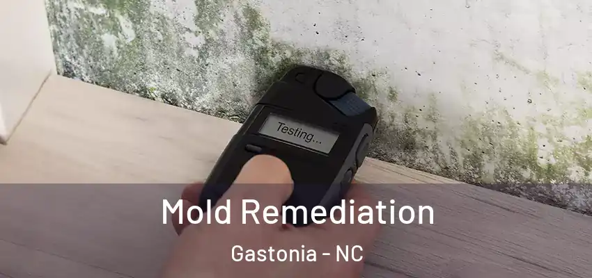 Mold Remediation Gastonia - NC