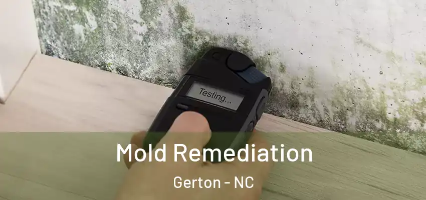  Mold Remediation Gerton - NC