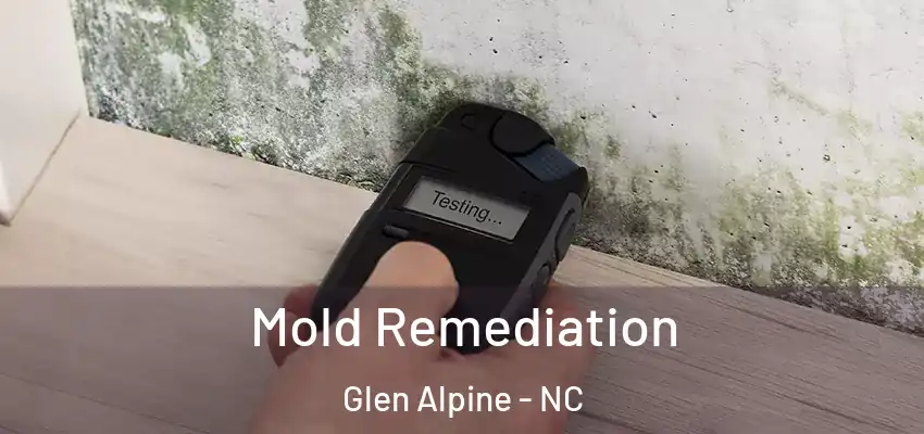  Mold Remediation Glen Alpine - NC