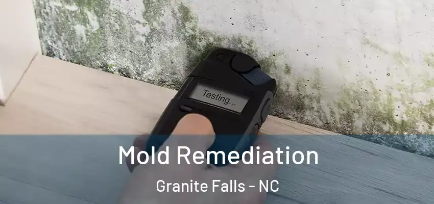 Mold Remediation Granite Falls - NC