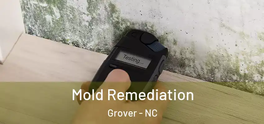 Mold Remediation Grover - NC