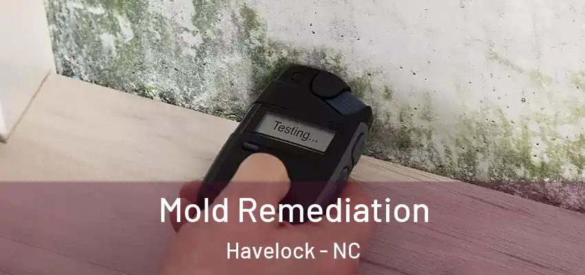  Mold Remediation Havelock - NC