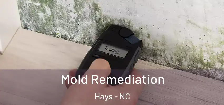  Mold Remediation Hays - NC