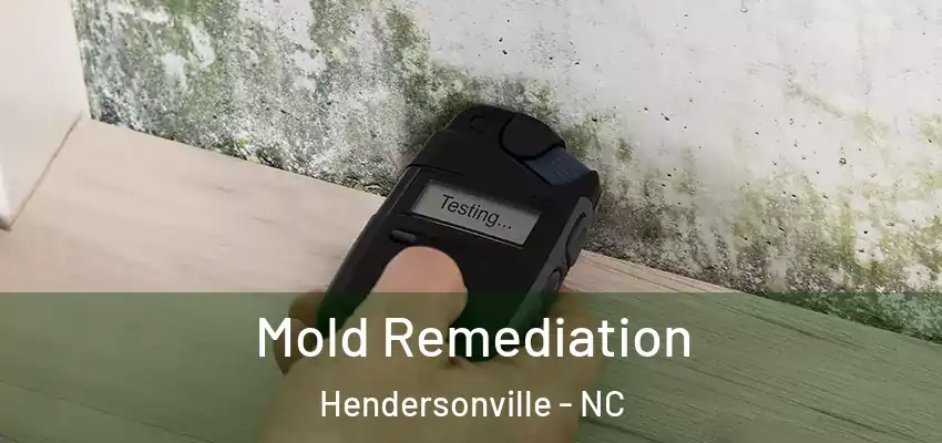 Mold Remediation Hendersonville - NC