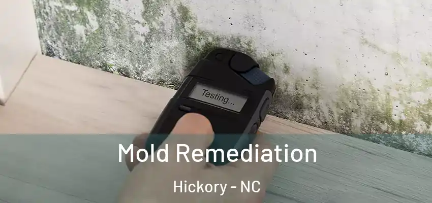 Mold Remediation Hickory - NC