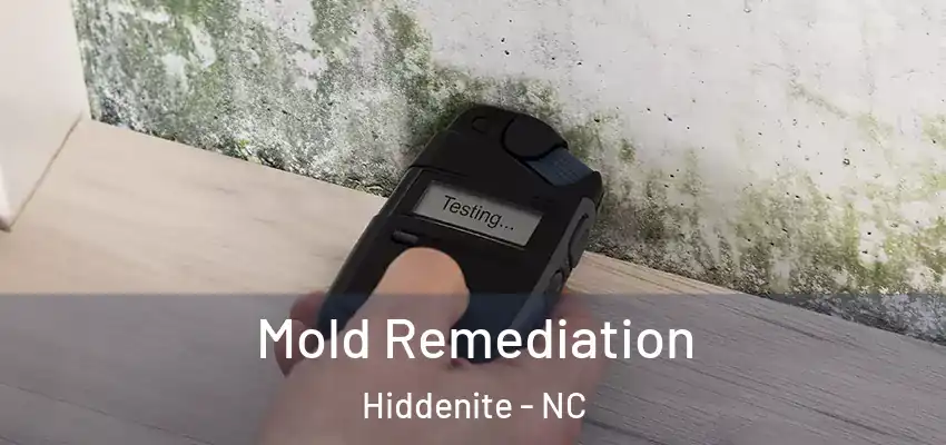  Mold Remediation Hiddenite - NC