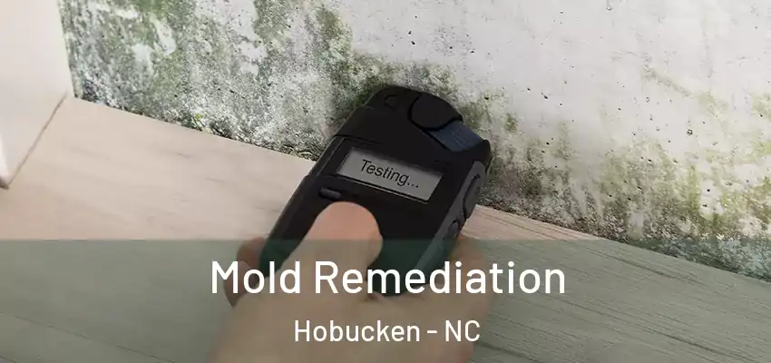  Mold Remediation Hobucken - NC