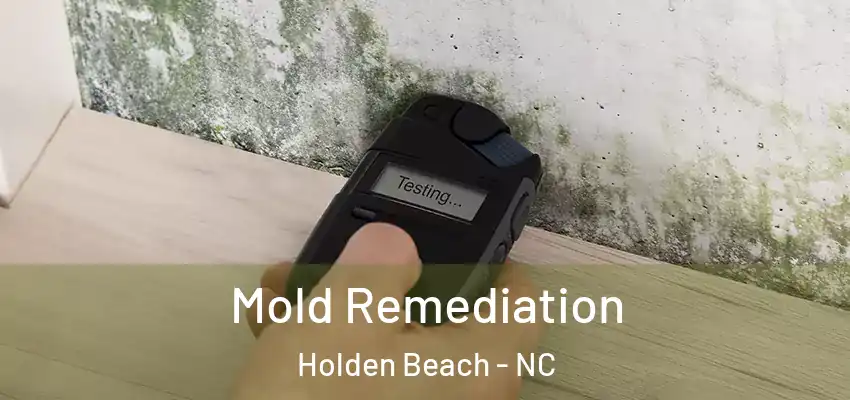  Mold Remediation Holden Beach - NC