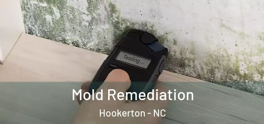  Mold Remediation Hookerton - NC