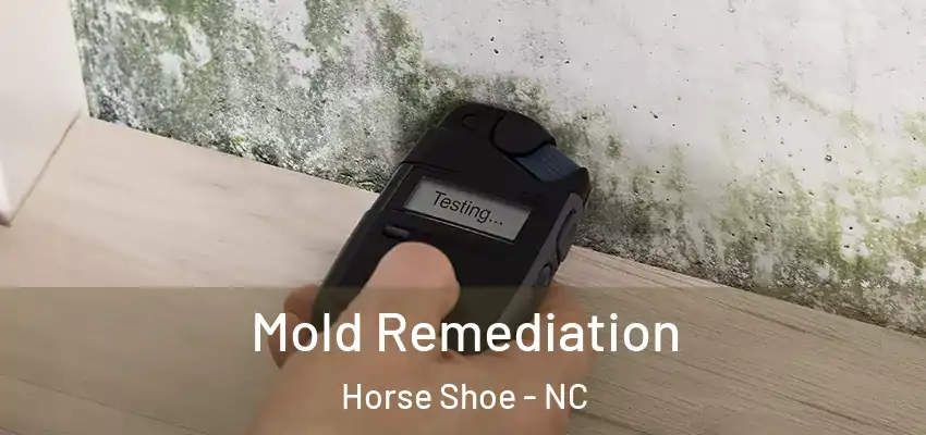 Mold Remediation Horse Shoe - NC