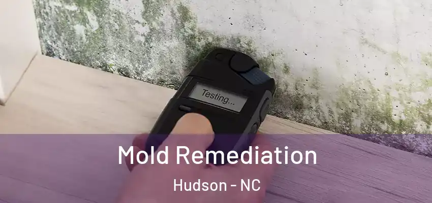 Mold Remediation Hudson - NC