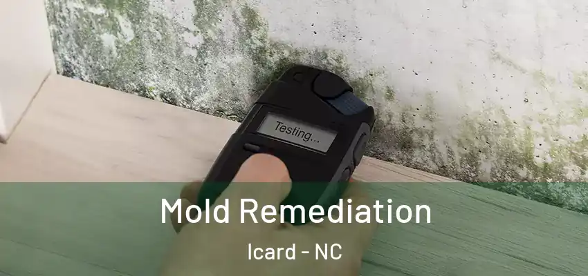  Mold Remediation Icard - NC
