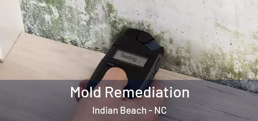 Mold Remediation Indian Beach - NC