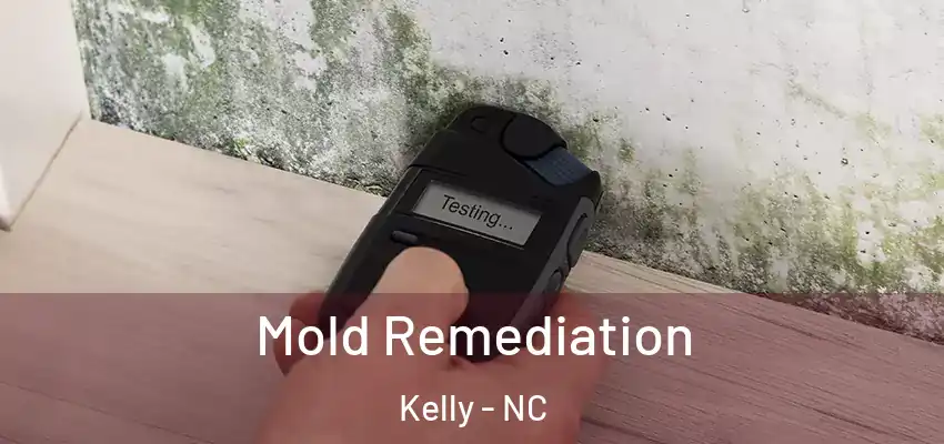 Mold Remediation Kelly - NC