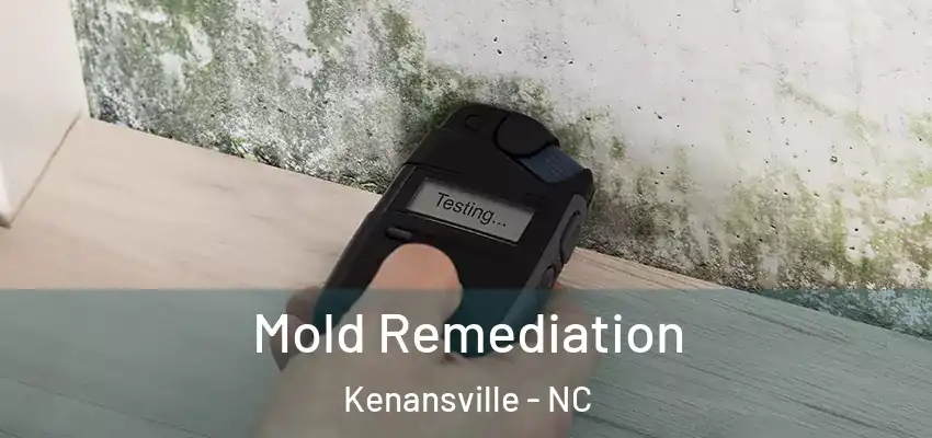Mold Remediation Kenansville - NC
