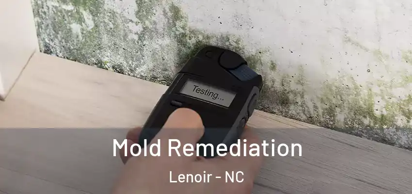  Mold Remediation Lenoir - NC