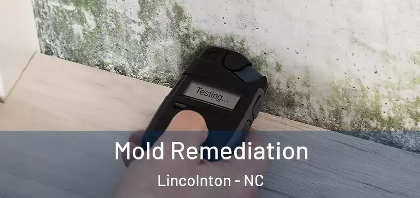  Mold Remediation Lincolnton - NC