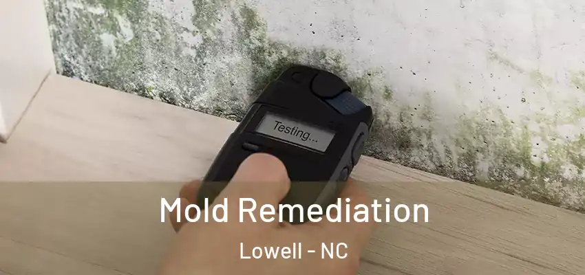  Mold Remediation Lowell - NC
