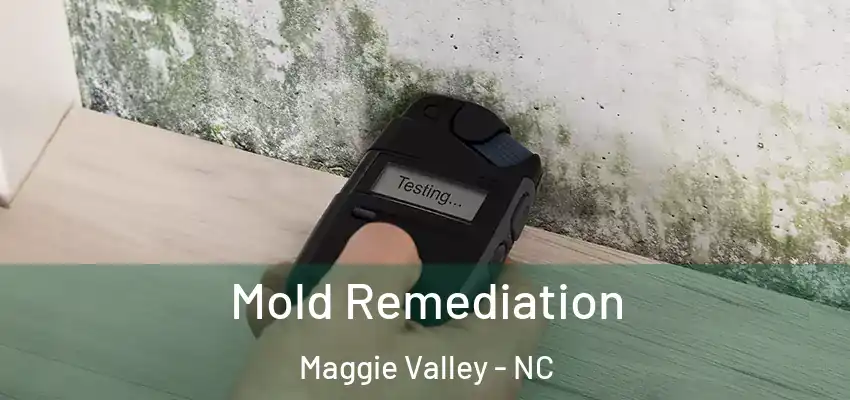 Mold Remediation Maggie Valley - NC