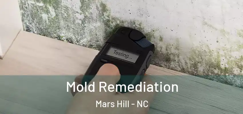 Mold Remediation Mars Hill - NC