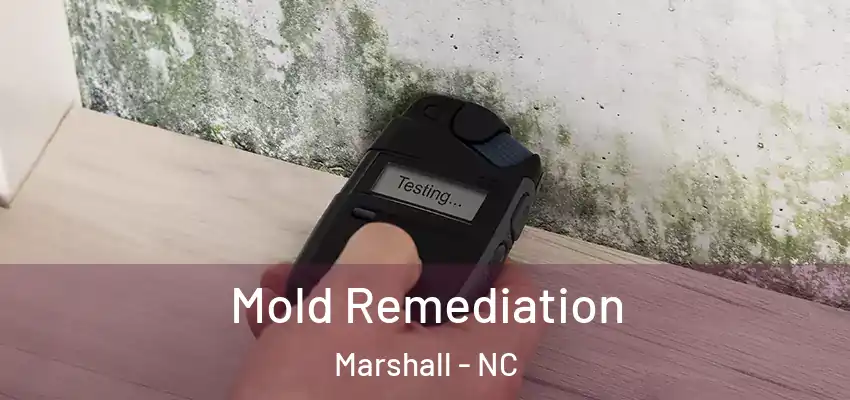  Mold Remediation Marshall - NC