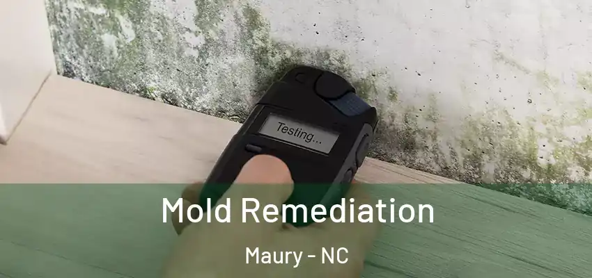 Mold Remediation Maury - NC