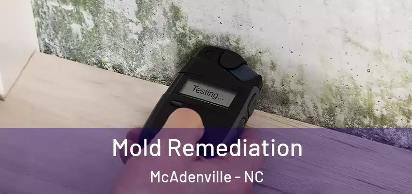  Mold Remediation McAdenville - NC