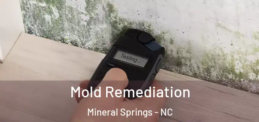  Mold Remediation Mineral Springs - NC