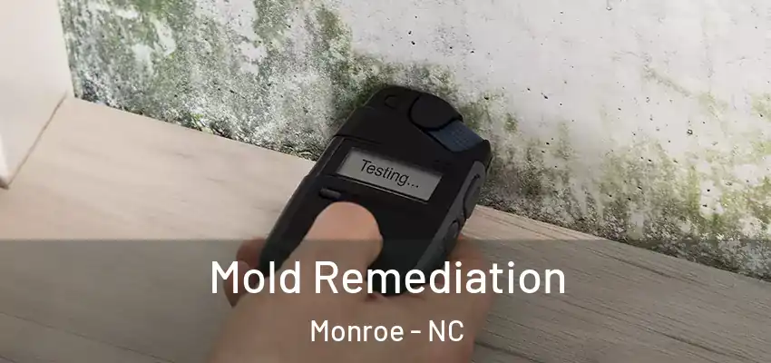 Mold Remediation Monroe - NC