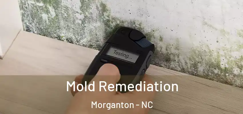 Mold Remediation Morganton - NC