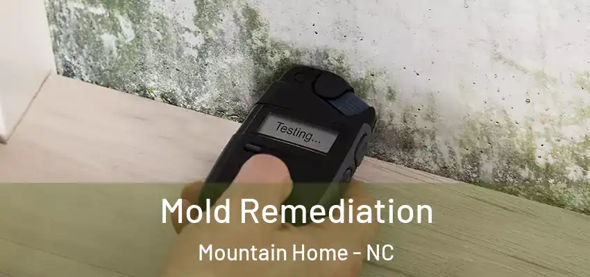  Mold Remediation Mountain Home - NC