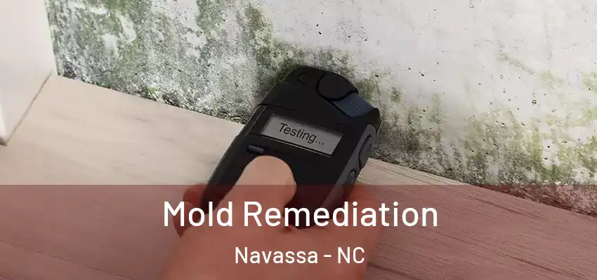 Mold Remediation Navassa - NC