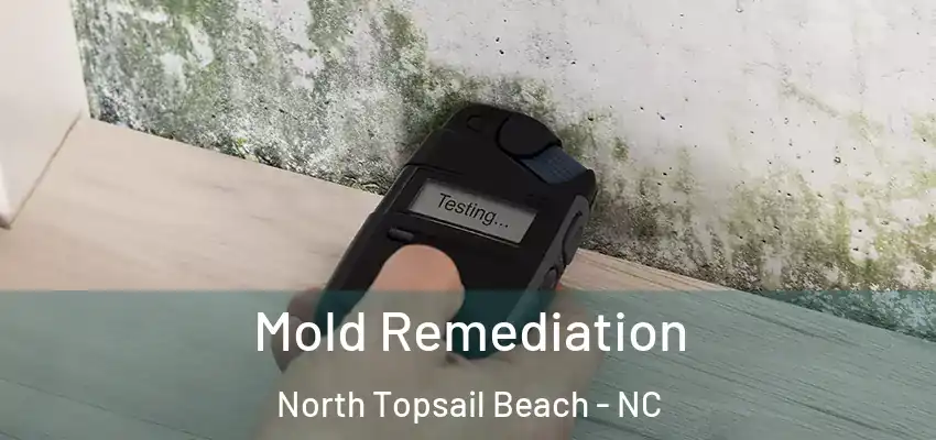  Mold Remediation North Topsail Beach - NC
