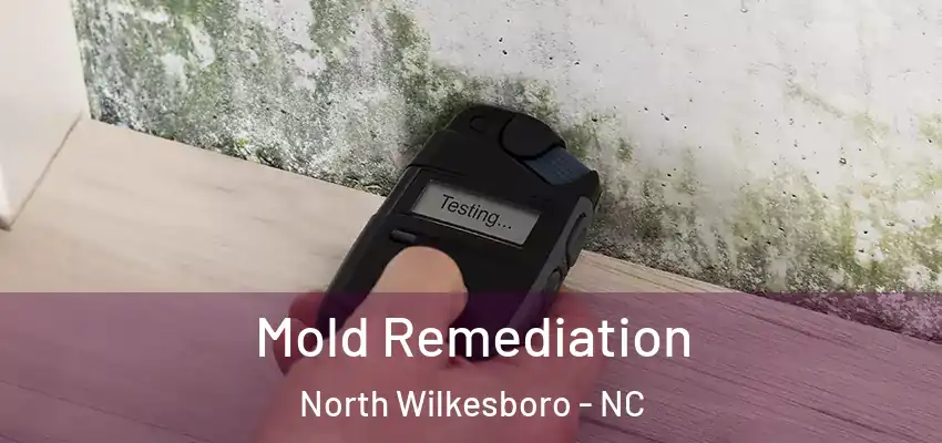  Mold Remediation North Wilkesboro - NC