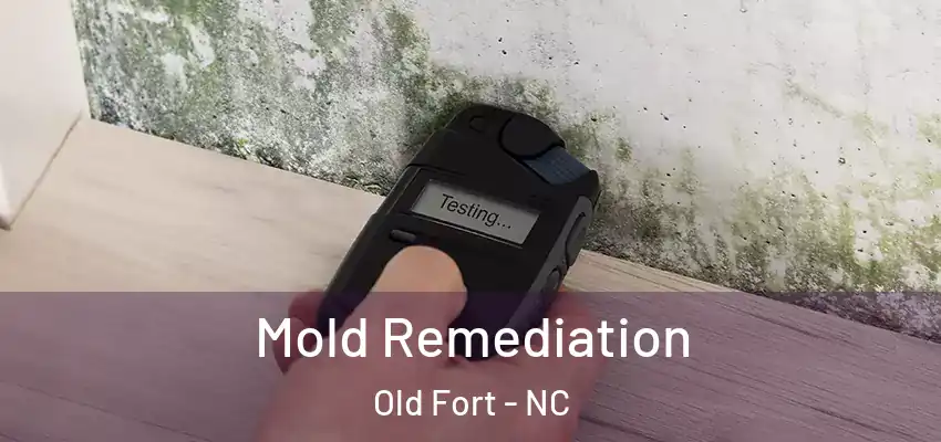  Mold Remediation Old Fort - NC
