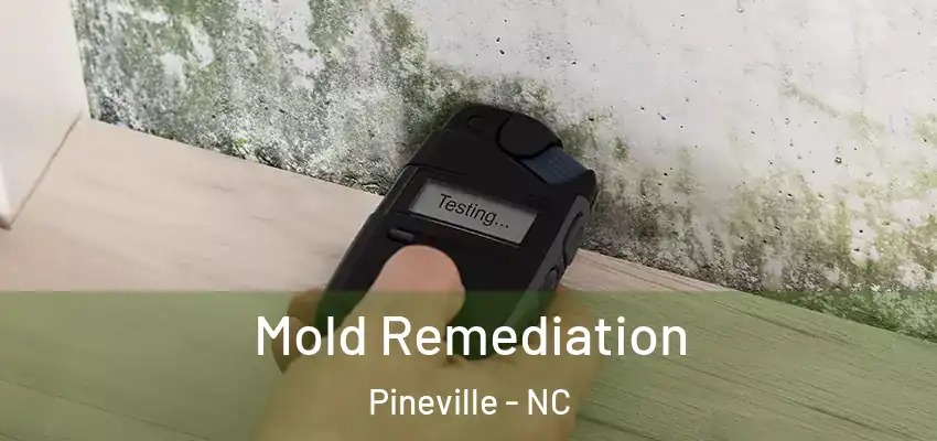  Mold Remediation Pineville - NC