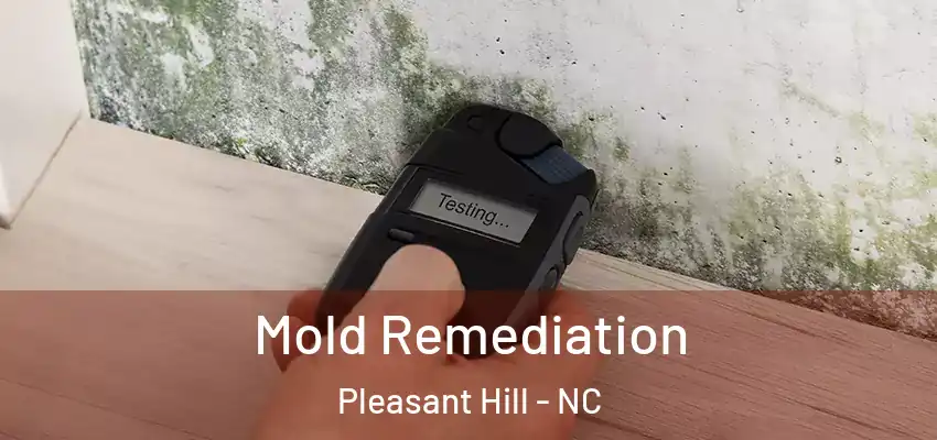  Mold Remediation Pleasant Hill - NC