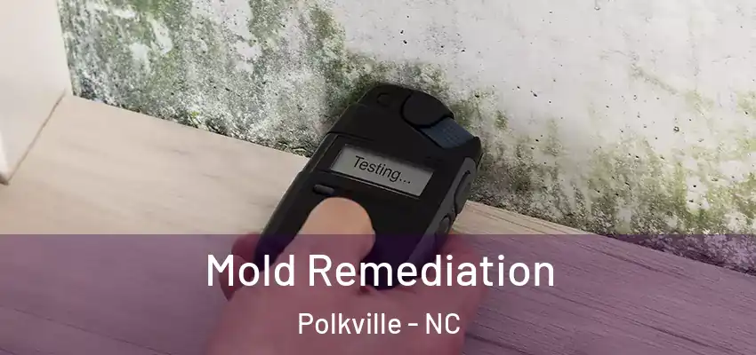  Mold Remediation Polkville - NC