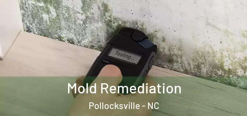  Mold Remediation Pollocksville - NC