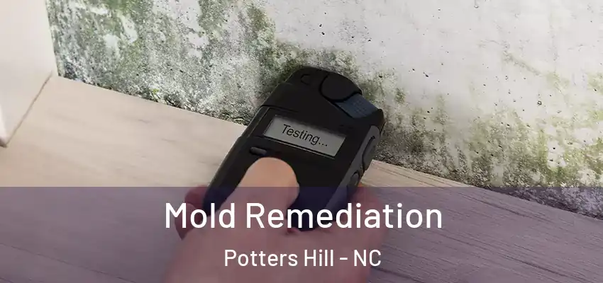  Mold Remediation Potters Hill - NC