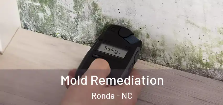 Mold Remediation Ronda - NC