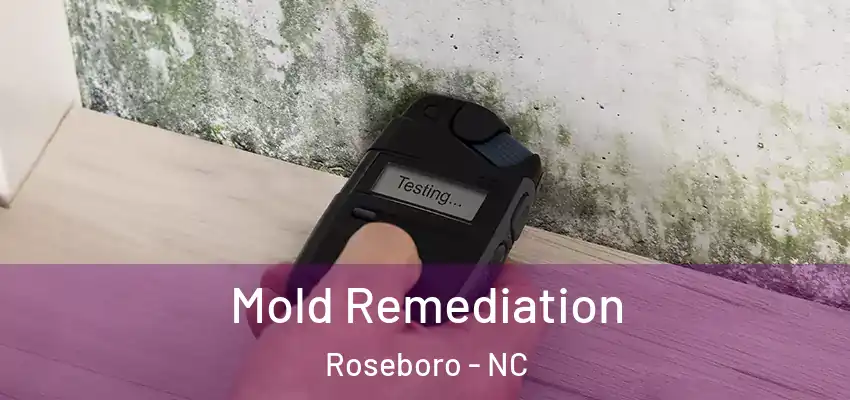 Mold Remediation Roseboro - NC