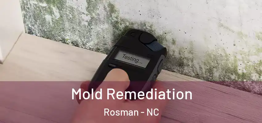 Mold Remediation Rosman - NC