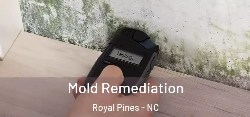  Mold Remediation Royal Pines - NC