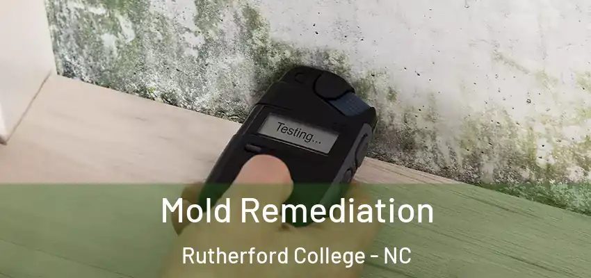 Mold Remediation Rutherford College - NC