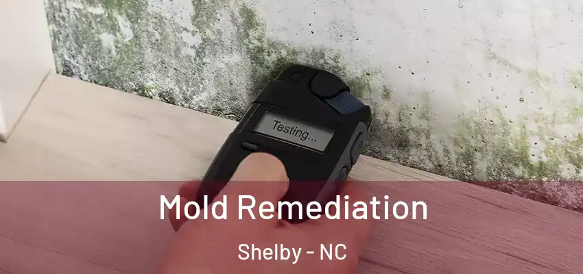  Mold Remediation Shelby - NC